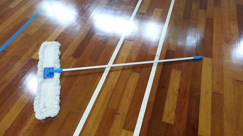 Dust Control Mop