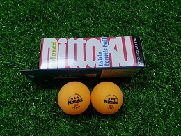 Nittaku 3 Star Table Tennis Ball