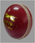 Stanford Polysoft Cricket Ball