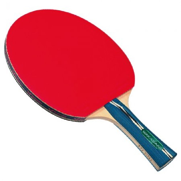 TT Bat - Butterfly Wakaba 60 NT