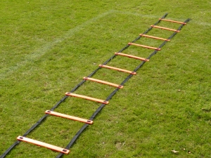 Speed Ladder