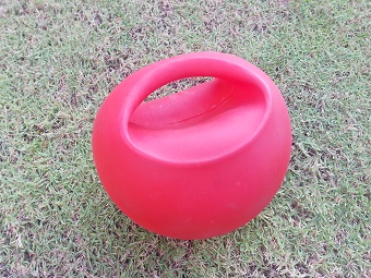 Medicine Ball with Handle