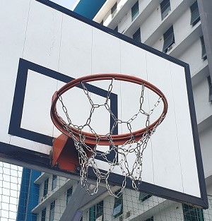 Basketball Chain Net